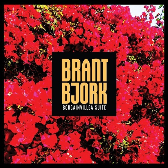 Brant Bjork - 