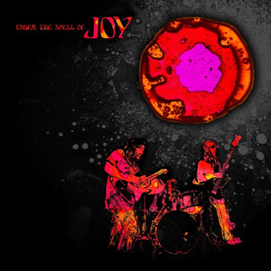 Joy - Under The Spell Of Joy LP