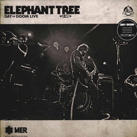 Elephant Tree - 