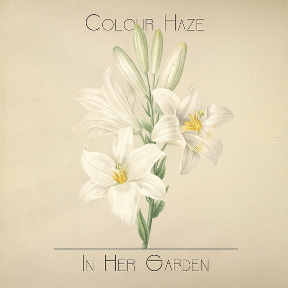 Colour Haze - 
